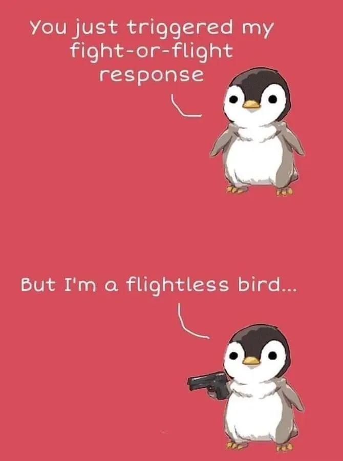 Fight or flight.jpeg