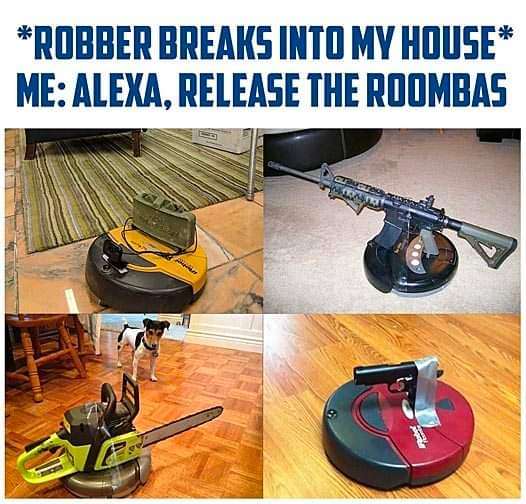 Roomba protection.jpg
