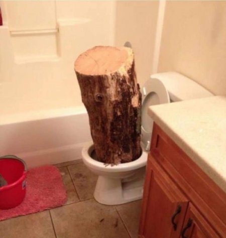 Log (2).jpg