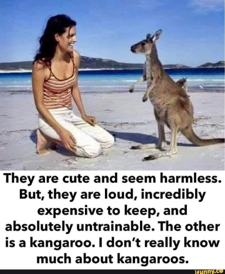 1645142513606.png